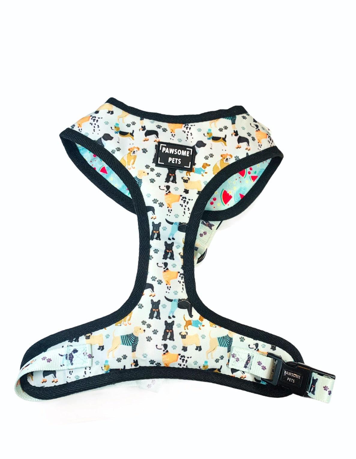 BUNDLE - DAPPER DOGGY (4 PIECES)