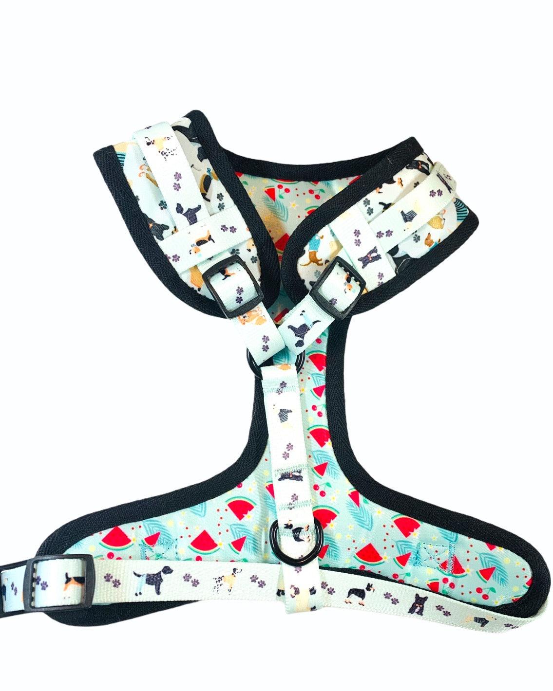 BUNDLE - DAPPER DOGGY (4 PIECES)