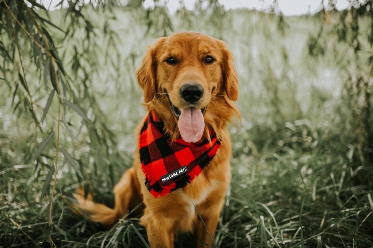 BANDANA - FINLEY