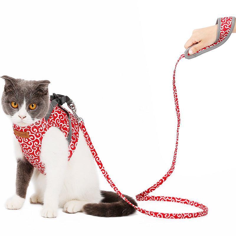 Cat Explorer Adventure Set-2