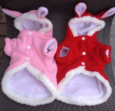 Cozy Bunny Cat Hoodie - Warm And Adorable Pet Cat Clothes-4