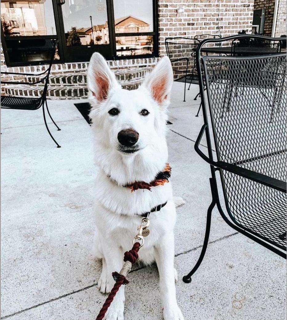 ROPE LEASH - OMBRE PINK