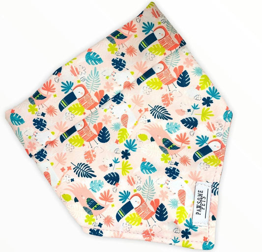 BANDANA - PINK TOUCAN