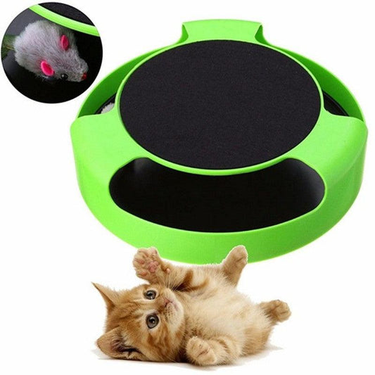 Interactive Cat Scratch And Spin Toy-0