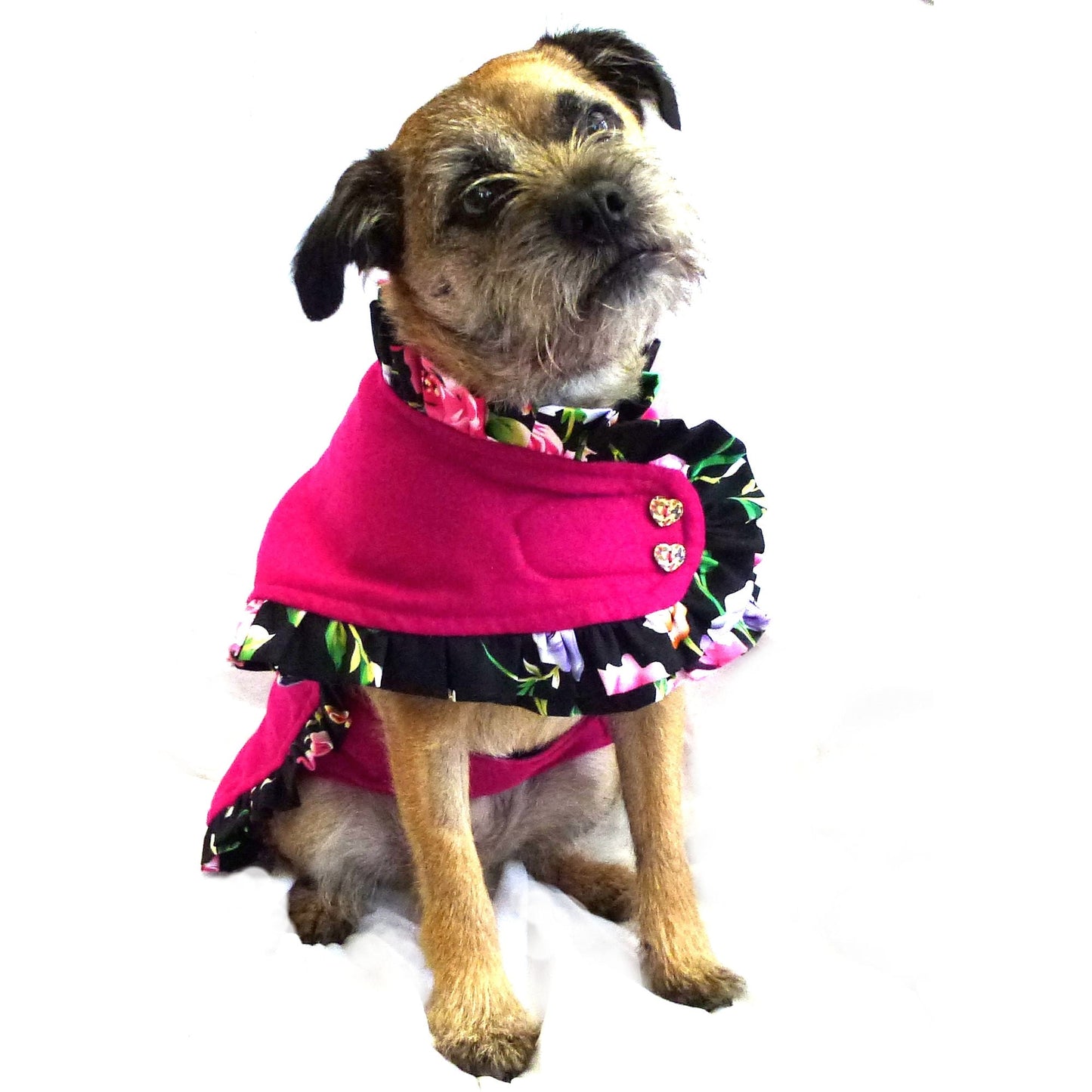 Prediletto Pet Couture Bundle