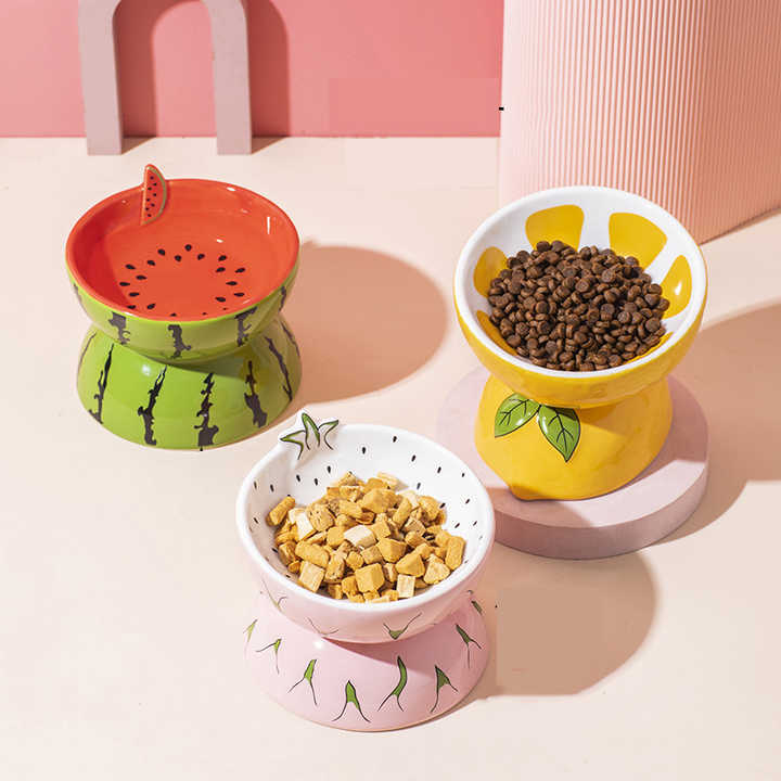 NNEDSZ Ceramic Elevated Pet Food Bowl - Cute Pitaya Pattern Design for Cats and Small Dogs