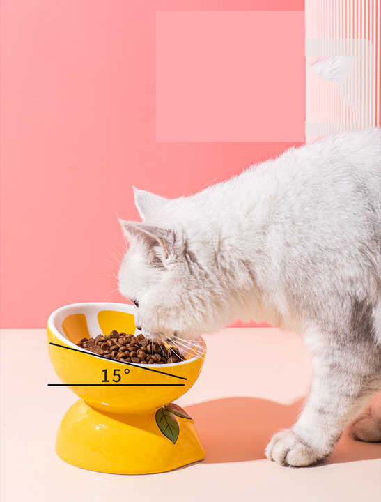 NNEDSZ Ceramic Elevated Pet Food Bowl - Cute Pitaya Pattern Design for Cats and Small Dogs