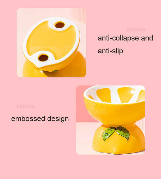 NNEDSZ Ceramic Elevated Pet Food Bowl - Cute Pitaya Pattern Design for Cats and Small Dogs